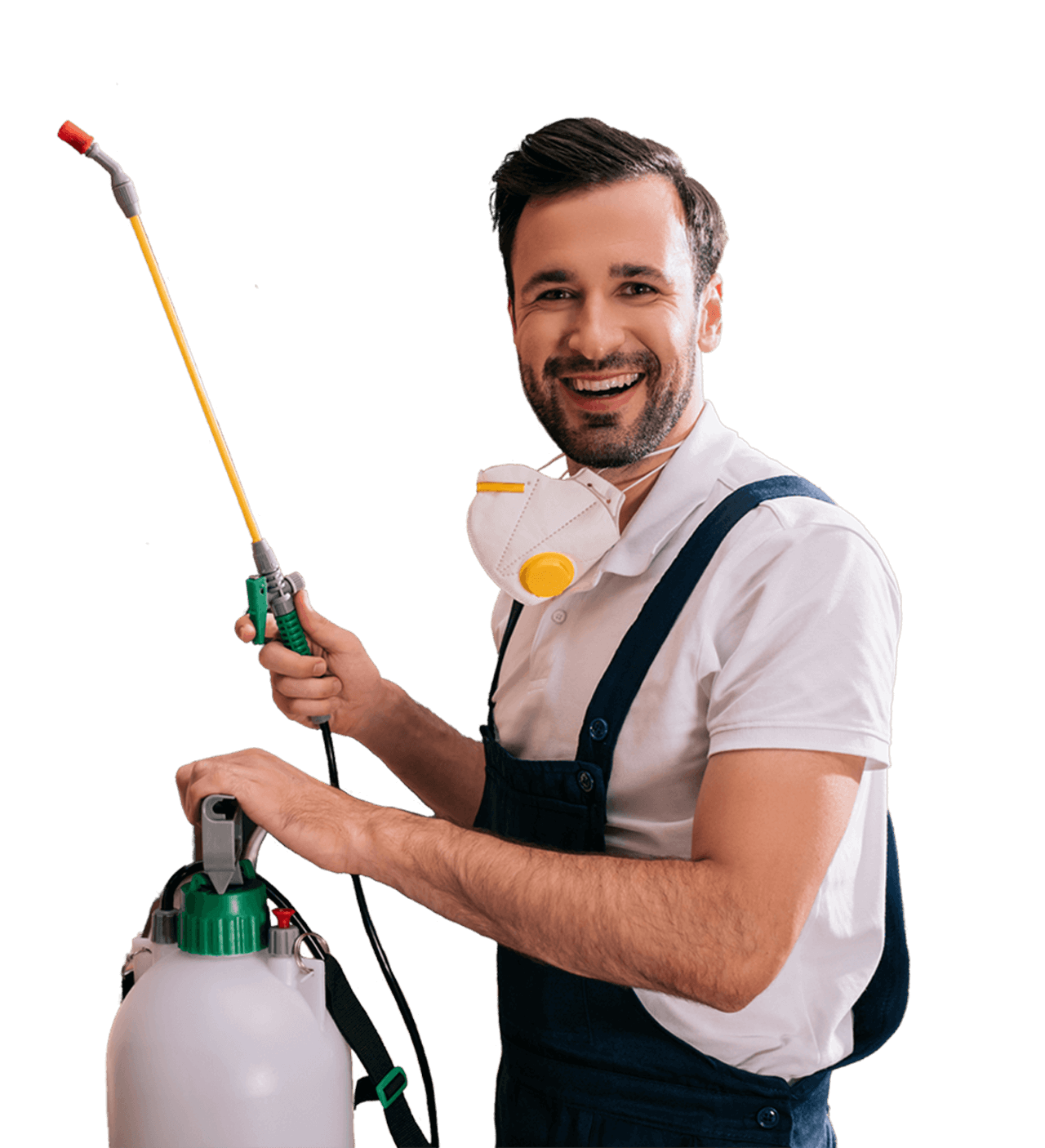 Best Pest removal in Brampton